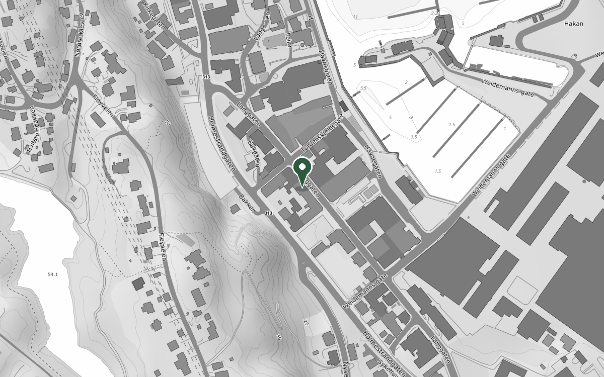 Kart som viser Langgaten 32, 3080 Holmestrand